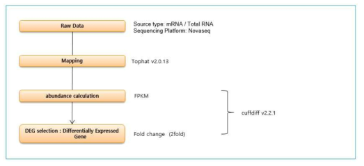 DEG 분석 과정 요약 모식도