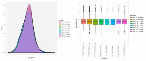 Clostridium sp. AWRP 야생형 및 46T-a 개량 변이주의 Transcriptome Mapping quality 분석. (좌) 각 샘플의 유전자 FPKM 분포 (우) Box Plot 분석