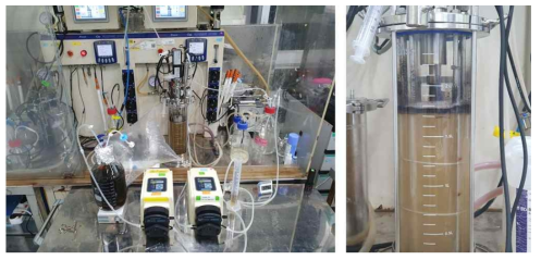 Clostridium sp. AWRP의 CO2 전환을 위한 연속 배양기 (좌) 및 실제 배양 사진 (우)