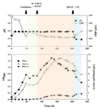 Clostridium sp. AWRP의 CO2 전환 연속배양 결과