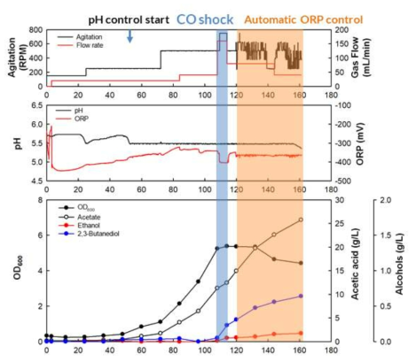 pH, ORP 조절을 통한 CO shock 영향 평가