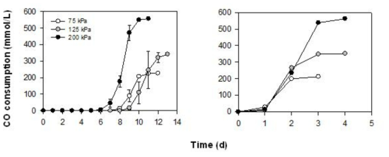 Clostridium sp. AWRP의 CO 분압에 따른 배양시 CO 소모. (좌) 40 mM MES 첨가 조건 (우) 40 mM MES와 40 mM sodium acetate 첨가 조건