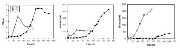 Sodium acetate 첨가 조건에서 Clostridium sp. AWRP의 회분식 반응기 배양 결과. 미첨가 조건은 CO 제한 조건에서의 배양 결과임