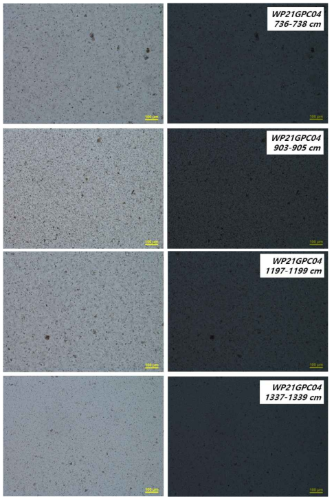 Photomicrographs of representative samples from WP21GPC04 core