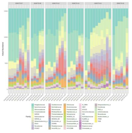 2019/2020년 해수 시료의 미생물 군집 분석 비교