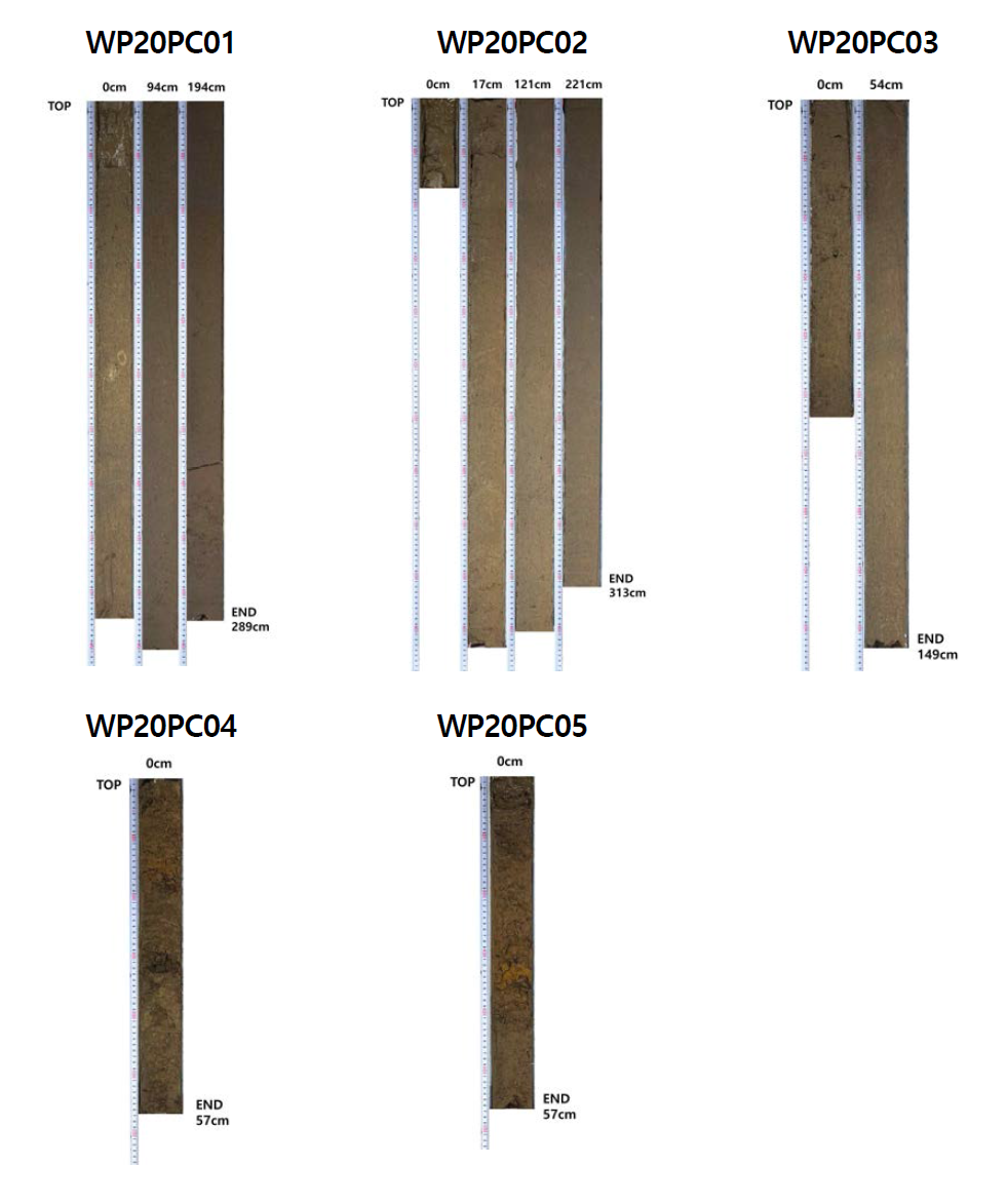 Photographs of the piston cores acquired during WP20 cruise