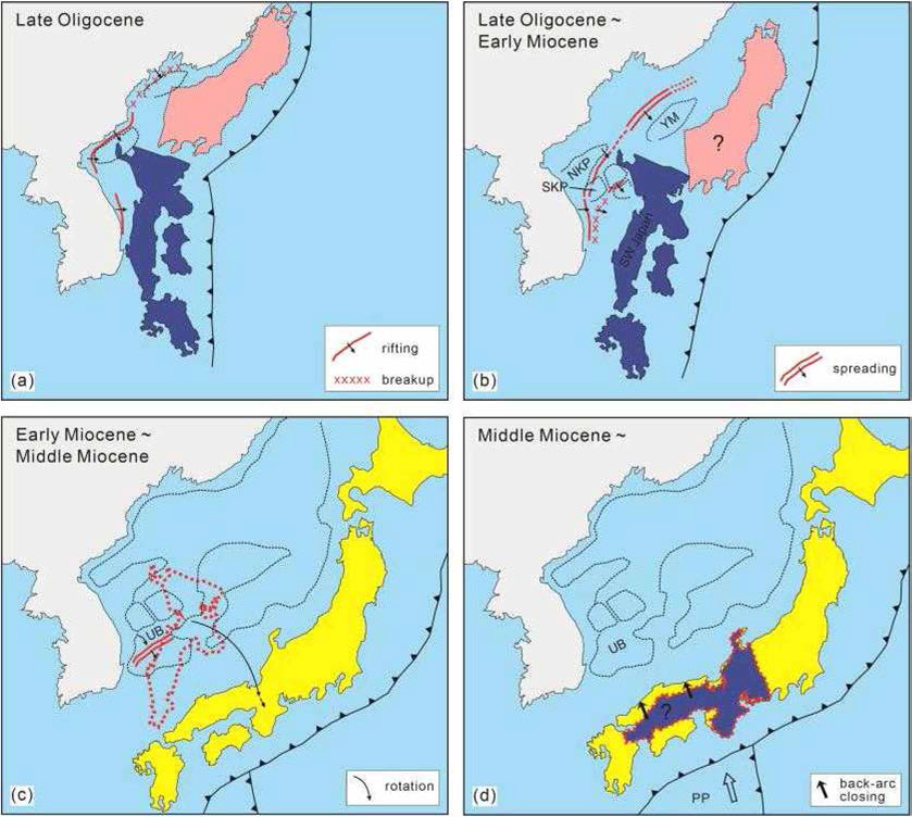 SW 일본 열도가 (그접한) 한반도에서 분리되는 것과 관련된 후열 도 진화 과정을 보여주는 개략도. (a) 후열도 rifting 이전의 SW 일 본열도의 위치. (b) 후기 올리고세의 초기 후열도 rifting과 breakup, (c) 초기에서 중기 마이오세의 SW 일본 열도의 주요 분리기와 시계방향 회전. (d) 중기 마이오세 이후부터의 후열도 닫힘