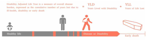 DALY 장애 조정 수명은 전반적 질병 부하에 대한 측정 지수 (질병/장애 + 조기사망 = DALY) 출처 : https://en.wikipedia.org/wiki/Disability-adjusted_life_year