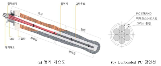 앵커의 자유장 및 정착장