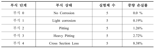 부식등급에 따른 실험 변수