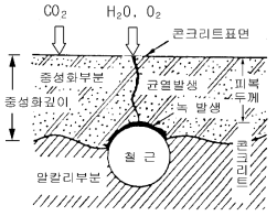 탄산화에 따른 철근의 녹 발생 현황