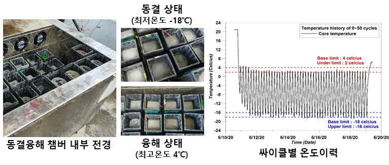 동결융해 장비 및 싸이클별 온도이력