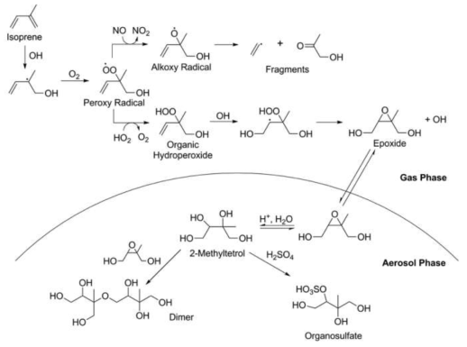 Alkene 중 Isoprene의 oxidant와 반응에 의한 SOA 생성 과정 (Lim et al., 2016)