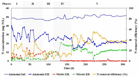 완전혼합형 혐기성 암모늄 산화반응기의 질소제거 성능