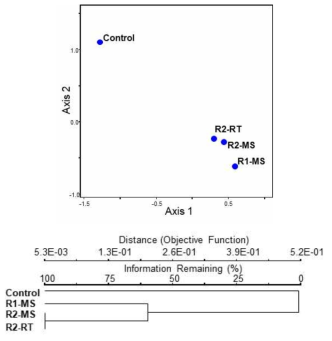 다변량 통계분석 및 Hierarchical clustering 분석 결과