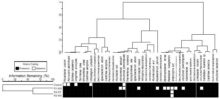 Two-way dendrogram 분석 결과