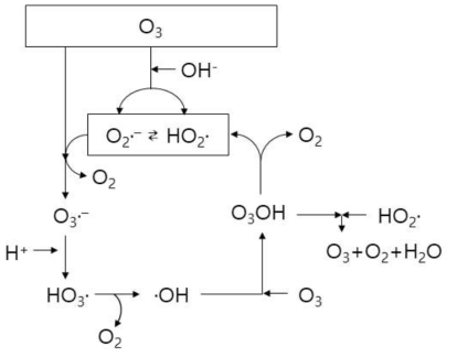 오존 반응으로 생성되는 OH라디칼과 라디칼 중간생성물