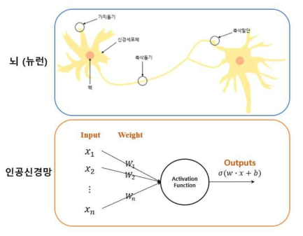 뇌의 뉴런을 바탕으로 개발된 인공신경망의 구조와 동작 과정