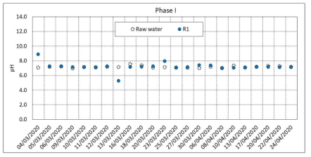 pH 변화(Phase Ⅰ)