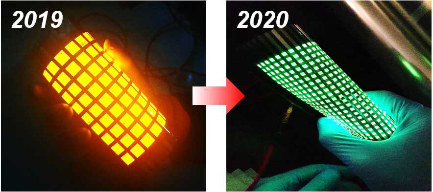 2019, 2020년도 연차별 대면적 OLED 구동 디지털 카메라 사진