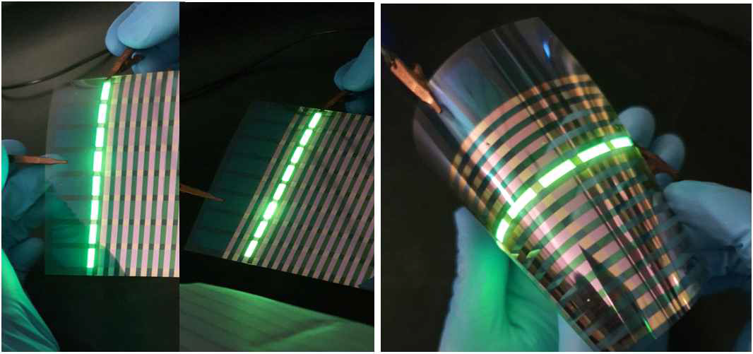 대면적 OLED 디지털 카메라 이미지 및 소자 선형 화소발광 제어