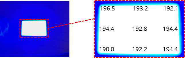 이미지면의 위치별 광량 분포 (단위: mW/cm2)