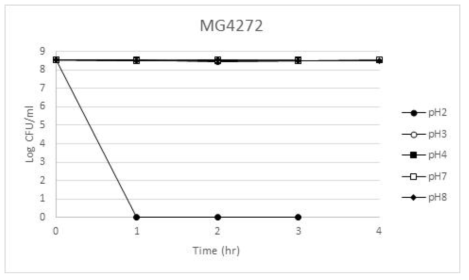 Lactobacillus paracasei MG4272의 인공위액ž장액 생존율