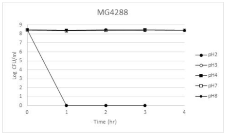 Lactobacillus rhamnosus MG4288의 인공위액ž장액 생존율