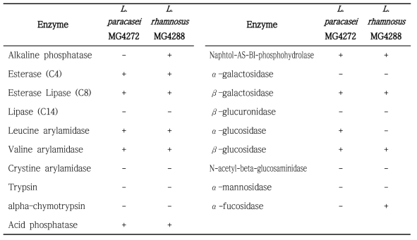 Lactobacillus paracasei MG4272 및 Lactobacillus rhanmosus MG4288의 효소반응 결과