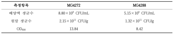 Jar fermenter 시생산 후 MG4272 및 MG4288의 배양액 생균수, 원말 생균수 및 흡광도(OD600)