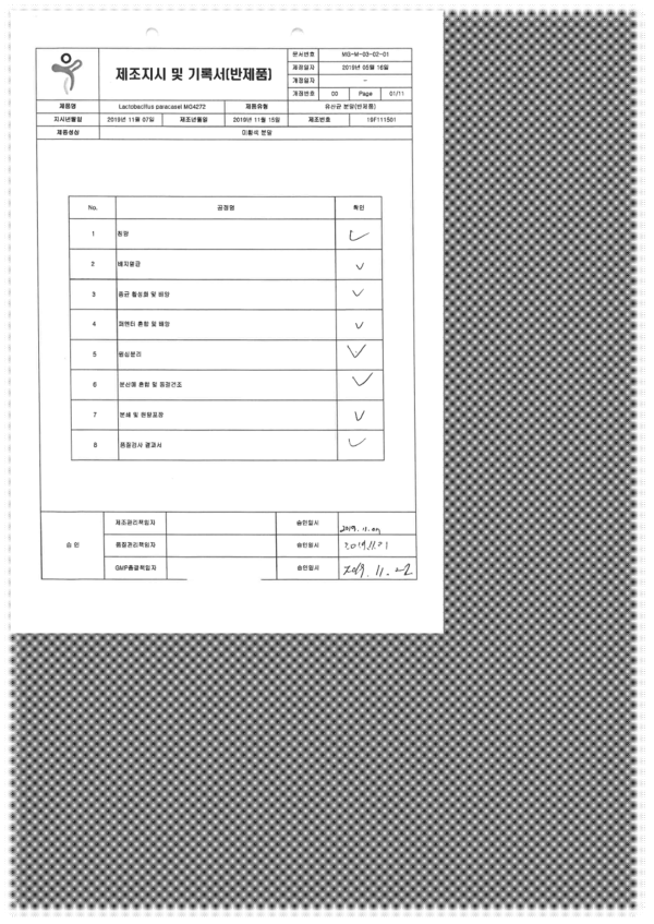 Lactobacillus paracasei MG4272의 1차 대량 배양 공정 제조지시 기록서