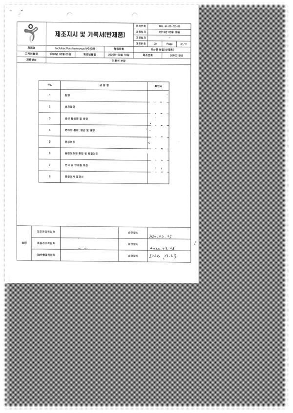 Lactobacillus rhamnosus MG4288의 3차 대량 배양 공정 제조지시 기록서