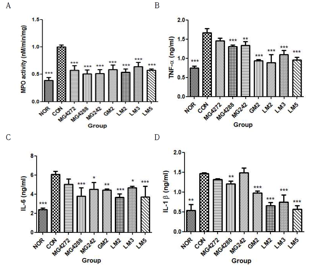 세균성 질염 유도 마우스에서 유산균 혼합분말의 MPO 활성 및 면역 사이토카인 억제 효과 GM2 mixture of MG901 and MG989, LM2; mixture of MG4272 and MG4288 strain LM3; mixture of MG242, MG901, and MG989 strains. LM5; mixture of MG4272, MG4288, MG242, MG901, and MG989 strains. Mice were fed with or without the Lactobacillus mixture for 2 weeks from the day after GV inoculation. MPO activity and Cytokine content were measured by vaginal tissue lysate. Results are presented as mean ± SD (n=6). * p < 0.05, ** p < 0.01, and *** p < 0.001 vs CON group