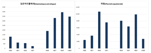 도요물떼새 주요종의 시기별 개체수 변화