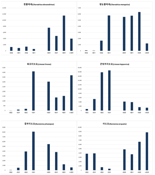 도요물떼새 주요종의 시기별 개체수 변화 (계속)