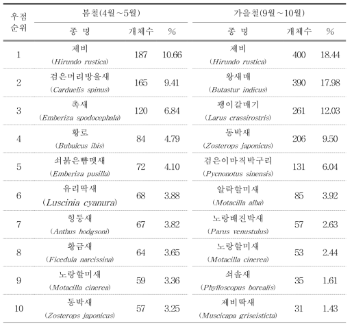 2020년 봄 가을 가거도의 우점조류