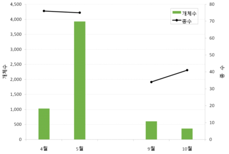 2020년 봄·가을 마라도에서 관찰된 조류의 종수 및 개체수 변화