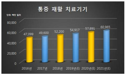 글로벌 통증 재활 치료기기 시장 그래프 ※ 발췌 : 중소기업 기술 로드맵 2017 ~ 2020 의료서비스기기