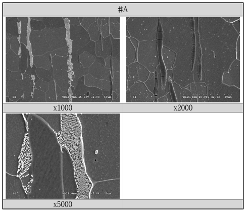 전자석 부분(#A)의 SEM-image 관찰