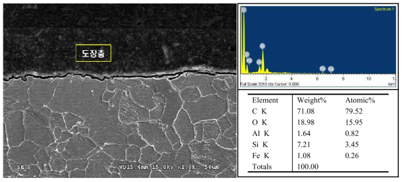 외부 하우징 부분(#C)의 도장층 SEM-EDS 분석