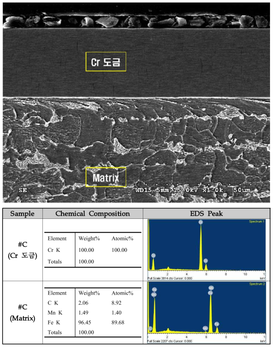 외부 하우징 부분(#C)의 도금층 SEM-EDS 분석