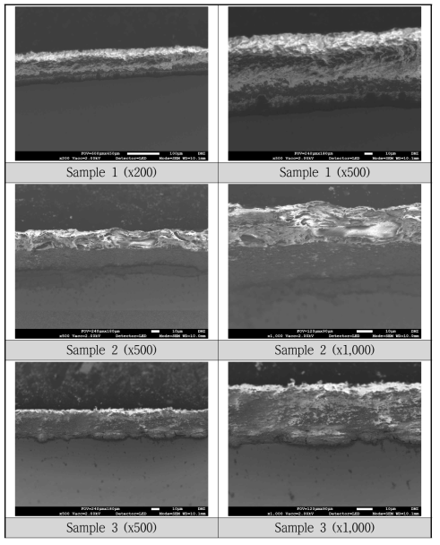 표면처리 시제품의 단면 SEM-image 관찰