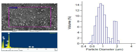 Nano clay에 대한 SEM/EDS와 입도 분석 결과