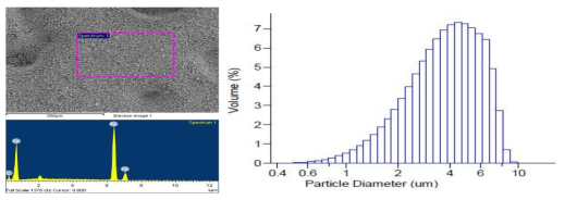 Carbonyl Iron Powder에 대한 SEM/EDS와 입도 분석 결과