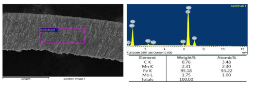 자성재료의 SEM/EDS 분석 결과