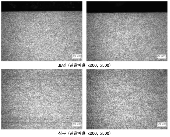 원소재의 미세조직 관찰 결과