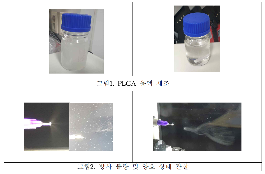 PLGA 용액 제조 조건별 방사 형태