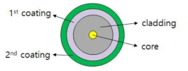 세경화 광섬유 단면 구조 개념도