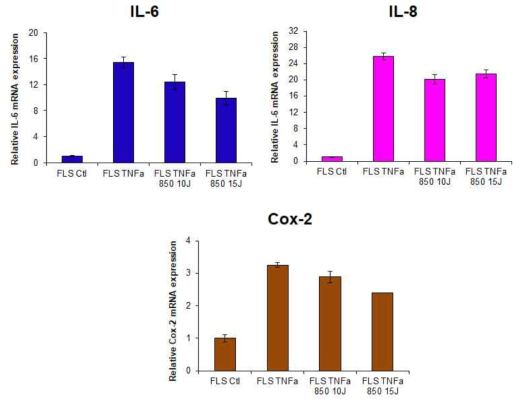 FLS에 TNF-α를 10ng/ml로 처리하여 염증을 유발한 모델에서, 염증 억제에 유효한 850nm LED 광원을 단위면적당(cm2) 10J과 15J로 조사 후 염증성 사이토카인 mRNA level(IL-6, IL-8, Cox-2) 발현 분석