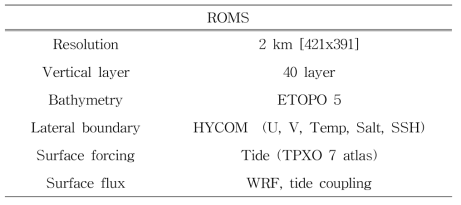 ROMS 모델 구성 표